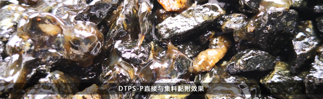 高黏沥青改性剂DTPS-P与集料黏附效果